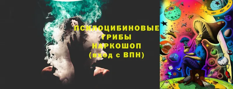 Галлюциногенные грибы Psilocybe  Верхоянск 